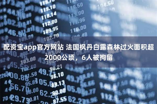 配资宝app官方网站 法国枫丹白露森林过火面积超2000公顷，6人被拘留